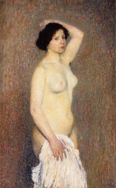 Mujer desnuda de pie de Henri Martin