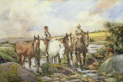 Caballos bebiendo agua de Henry Meynell Rheam