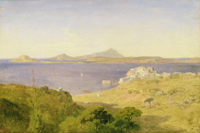 Pozzuoli de Henry Penry Williams