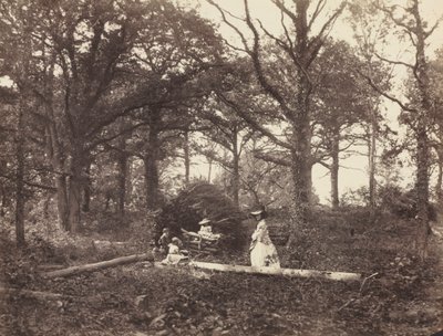 Landscape de Henry White