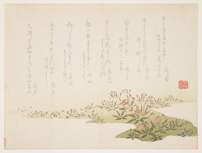 Violetas, c.1848-53 de Ho Shu