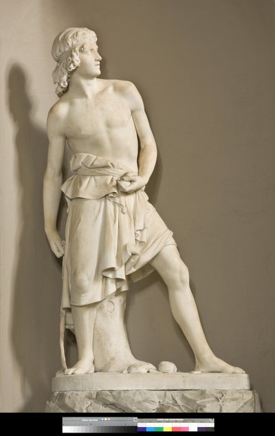 David con la honda, 1858 de Innocenzo Fraccaroli