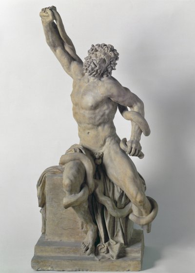 Grupo de Laocoonte sin los hijos de Italian School