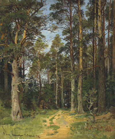 Siverskaya, 1896 de Ivan Ivanovich Shishkin