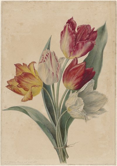 Ramo de tulipanes de Jan Jacob Goteling Vinnis