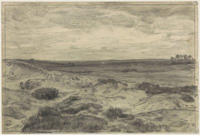 Paisaje de brezo cerca de Laren de Jan Veth