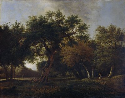 Vista en el bosque de Jan van  Kessel