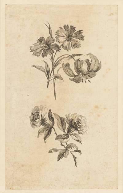 Dos ramitas de flores de Jean Baptiste Pillement