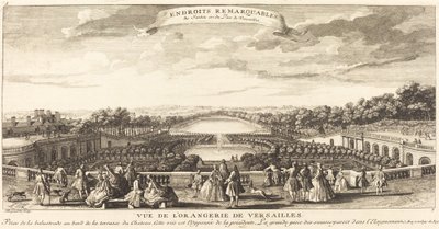 Vista de la Orangerie de Versalles de Jean Baptiste Rigaud