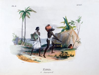 Tottis, 1828 de Jean Henri Marlet