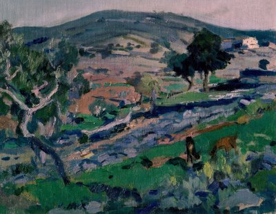 Paisaje de Joaquim Mir i Trinxet