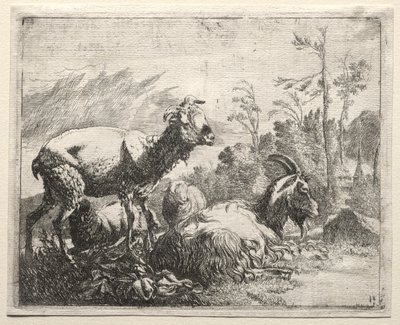 Cabras de Johann Heinrich Roos