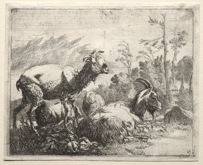 Cabras, 1665 de Johann Heinrich Roos