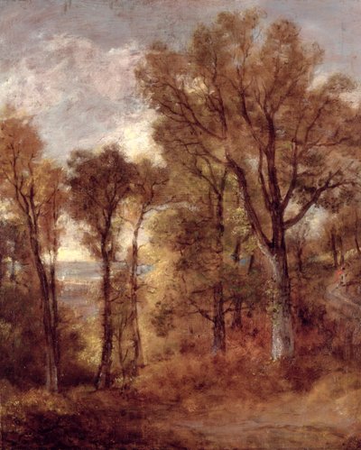 Vista del bosque en Suffolk de John Constable