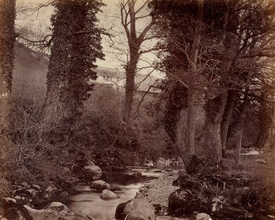 Sin Título, c. 1859 de John Lloyd