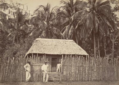 Paisaje tropical, cabaña nativa, Turbo, 1871 de John Moran