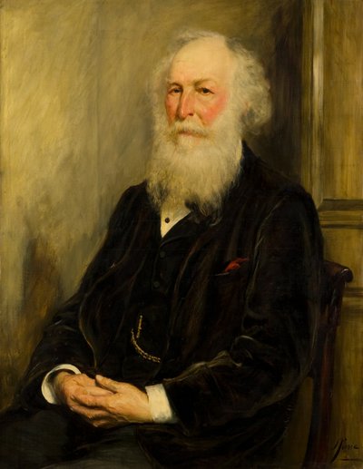 James Cox de John Pettie