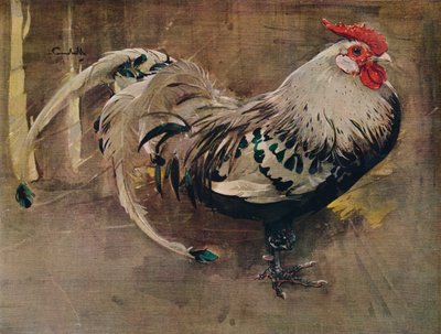 El Gallo Espléndido, 1903 1935 de Joseph Crawhall