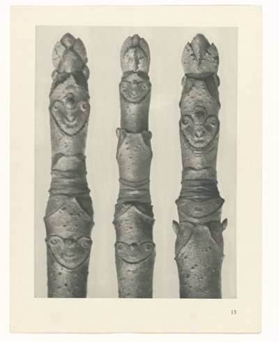 estudio de planos Arquetipos del arte (título de la serie) de Karl Blossfeldt