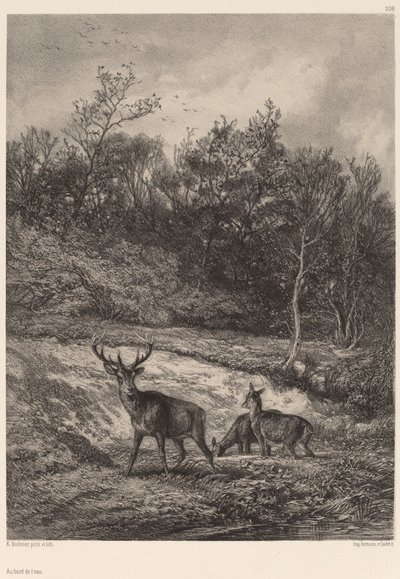 A la orilla del agua de Karl Bodmer