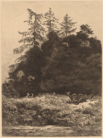 Daims dans un Parc de Karl Bodmer