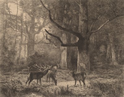 Bosque de Fontainebleau de Karl Bodmer