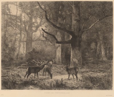 Bosque de Fontainebleau de Karl Bodmer