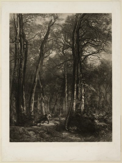 En el bosque de Karl Bodmer