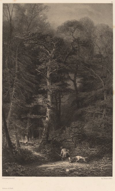 Interior del bosque de Karl Bodmer