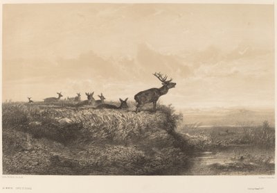 La Mañana de Karl Bodmer