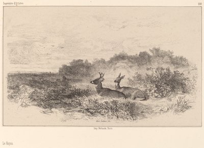 El reposo de Karl Bodmer