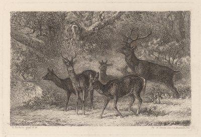 Le harde de Karl Bodmer