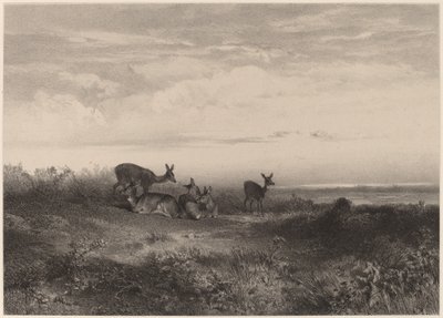 Los ciervos de Karl Bodmer