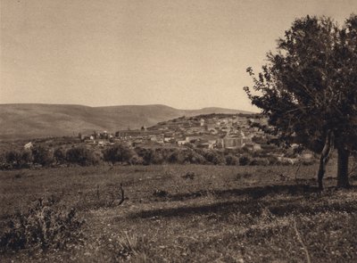 Cana (foto en blanco y negro) de Karl Grober