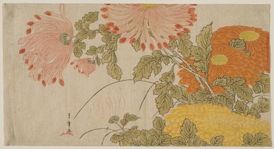 Crisantemos, c.1780 (xilografía en color; surimono) de Katsukawa Shunsho