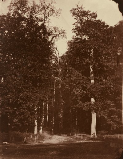 Bosque en Saint-Cloud de Louis Rémy Robert