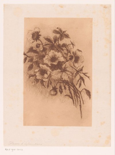 Flores de Louise Elsen (attributed to)