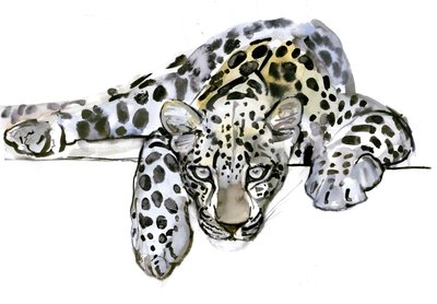 Leopardo árabe, 2008 de Mark Adlington