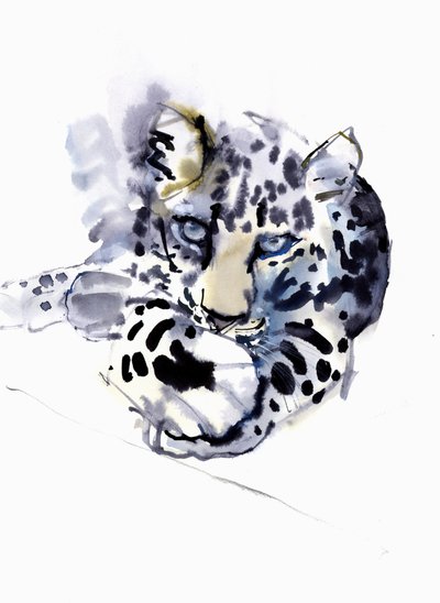 Leopardo Árabe, 2008 de Mark Adlington