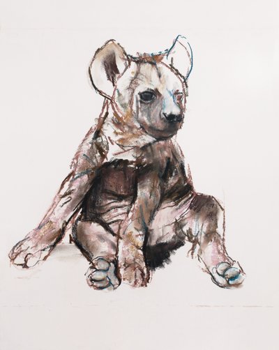 Cachorro de hiena (sentado) de Mark Adlington