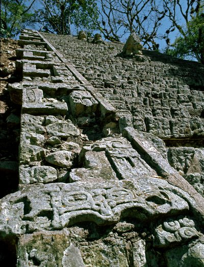 Vista de la Escalera Jeroglífica, 743 d.C. de Mayan