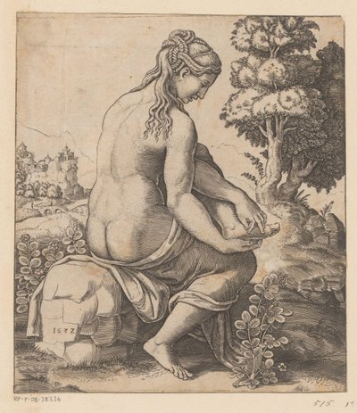 Venus y la rosa de Meester van de Dobbelsteen