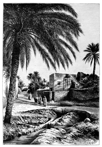 Una calle en Biskra, Argelia, 1895 de Meunier