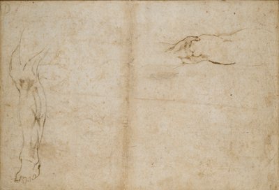 Verso: Estudios de la pierna de un hombre de Michelangelo Buonarroti