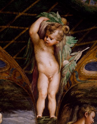 Putto, del Mito de Diana y Acteón de Parmigianino