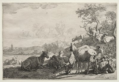 The Shepherd de Paulus Potter