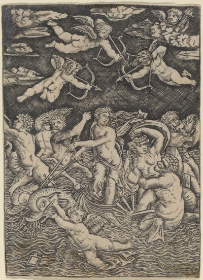 El triunfo de Galatea de Peregrino da Cesena