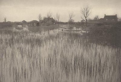 Una orilla juncosa de Peter Henry Emerson