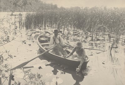 Recogiendo nenúfares de Peter Henry Emerson