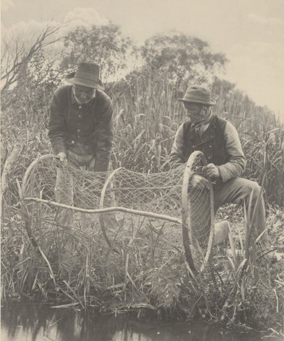 Preparando la red de arco de Peter Henry Emerson